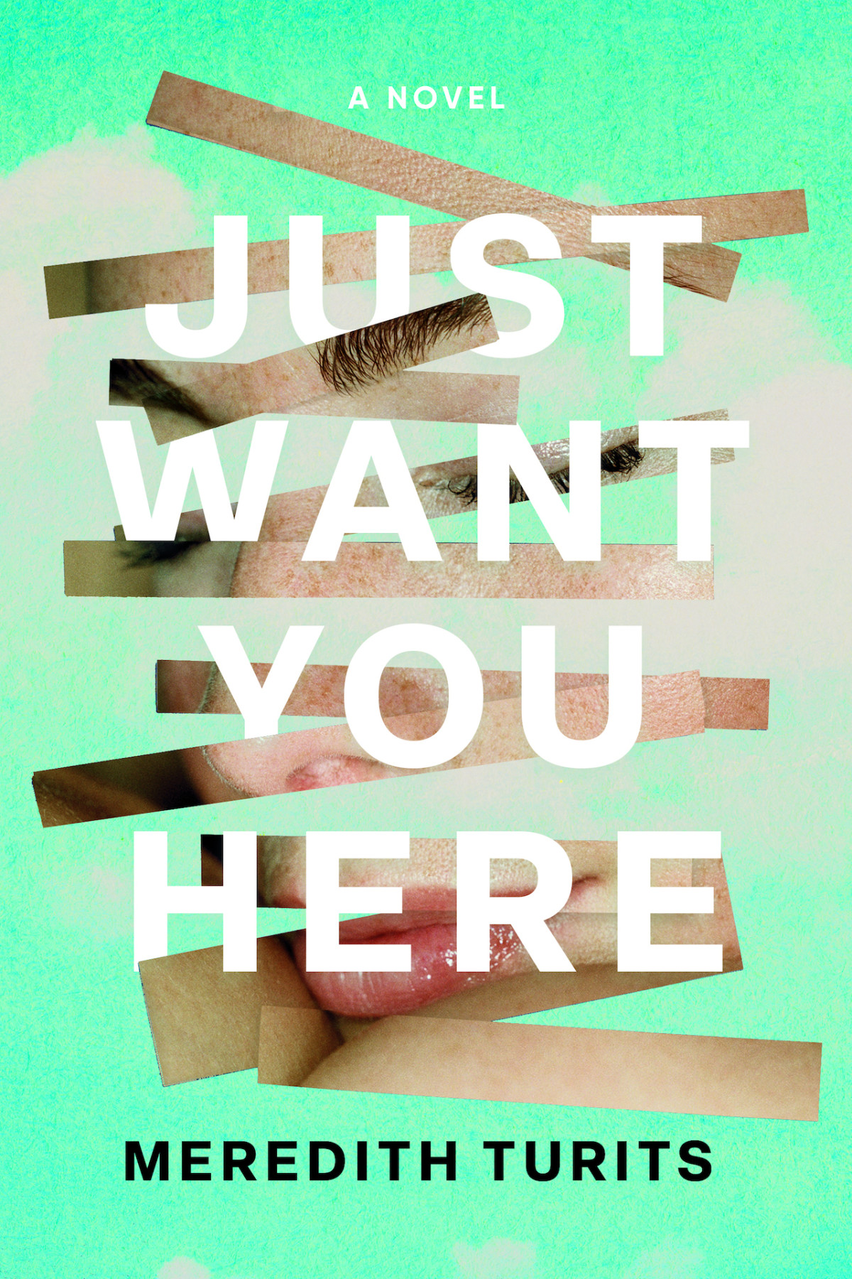 Just Want You Here Meredith Turits