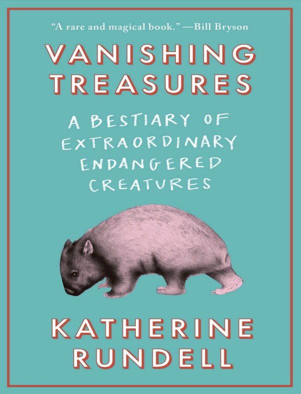 Vanishing Treasures Katherine Rundell