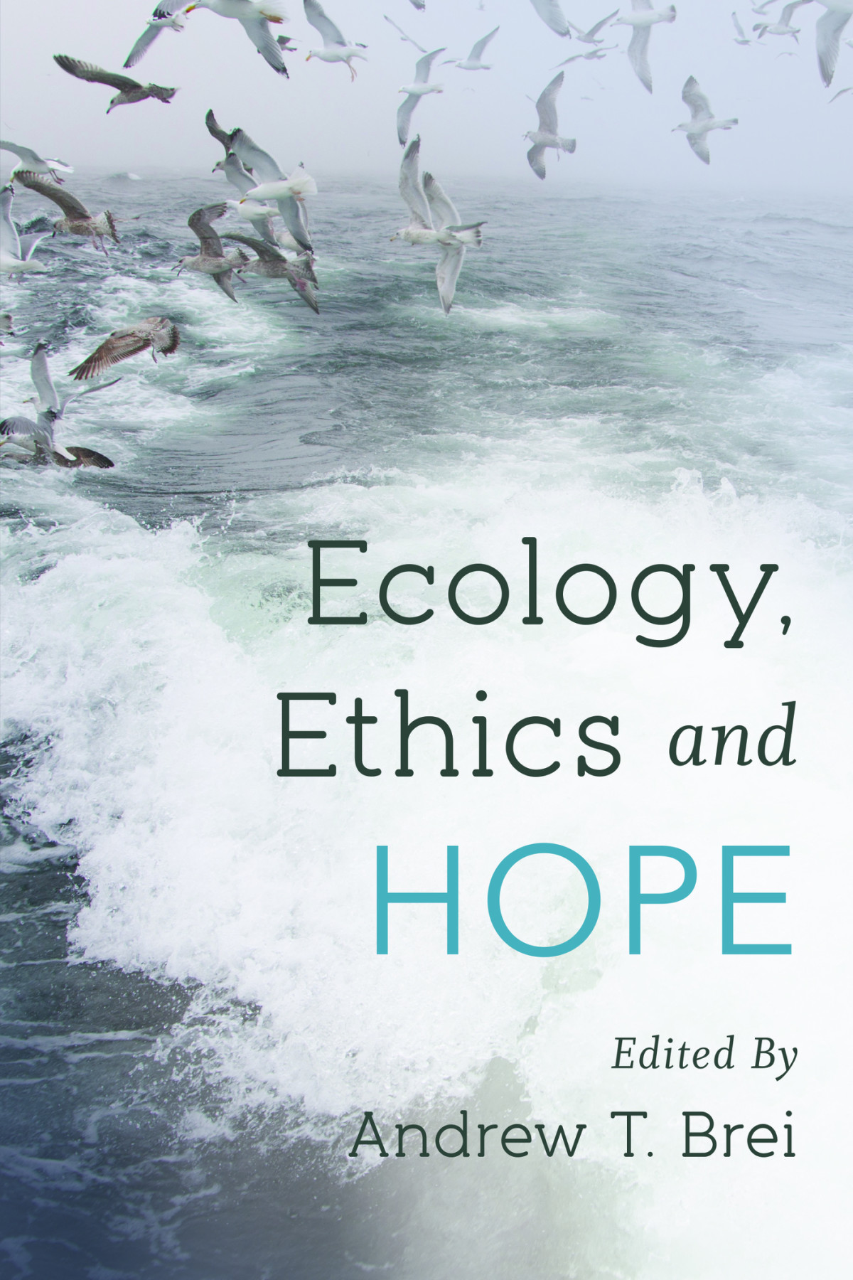 Ecology Ethics And Hope Brei Andrew T
