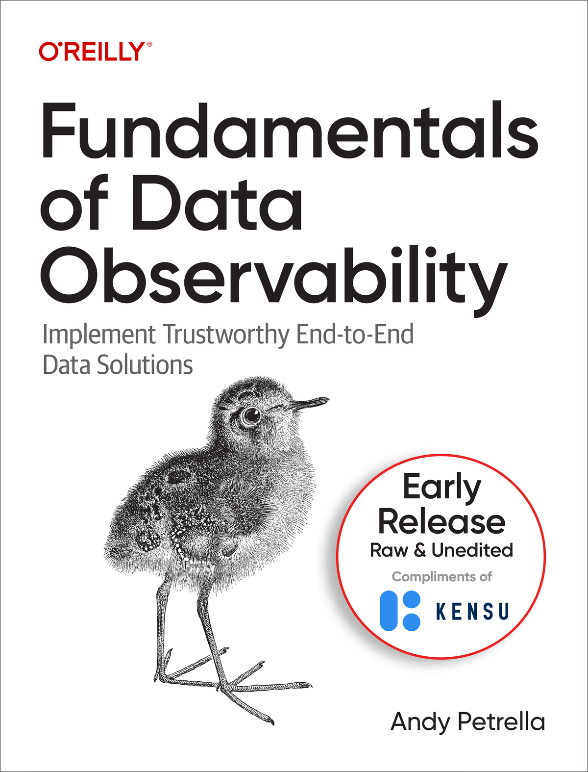 Fundamentals Of Data Observability For Andy Petrella
