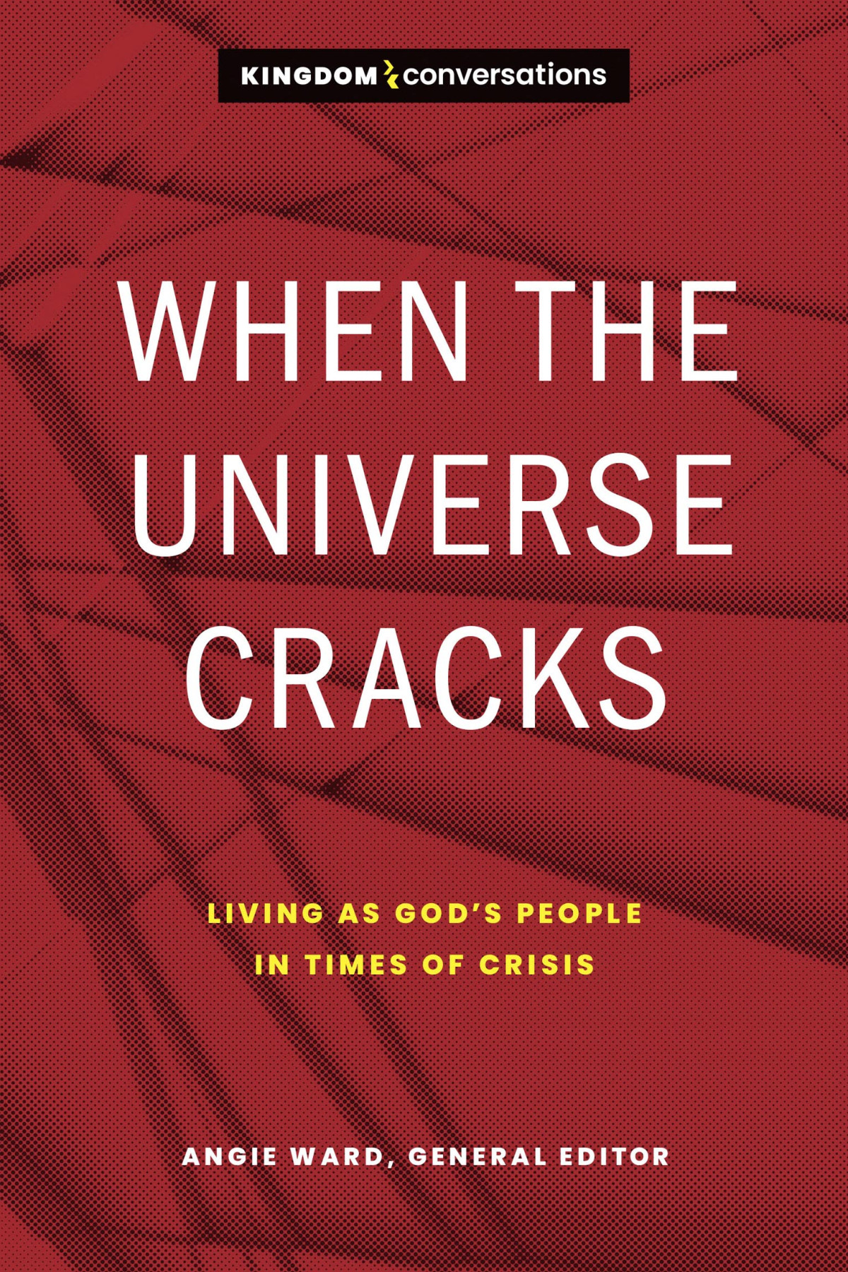 When The Universe Cracks Angie Ward