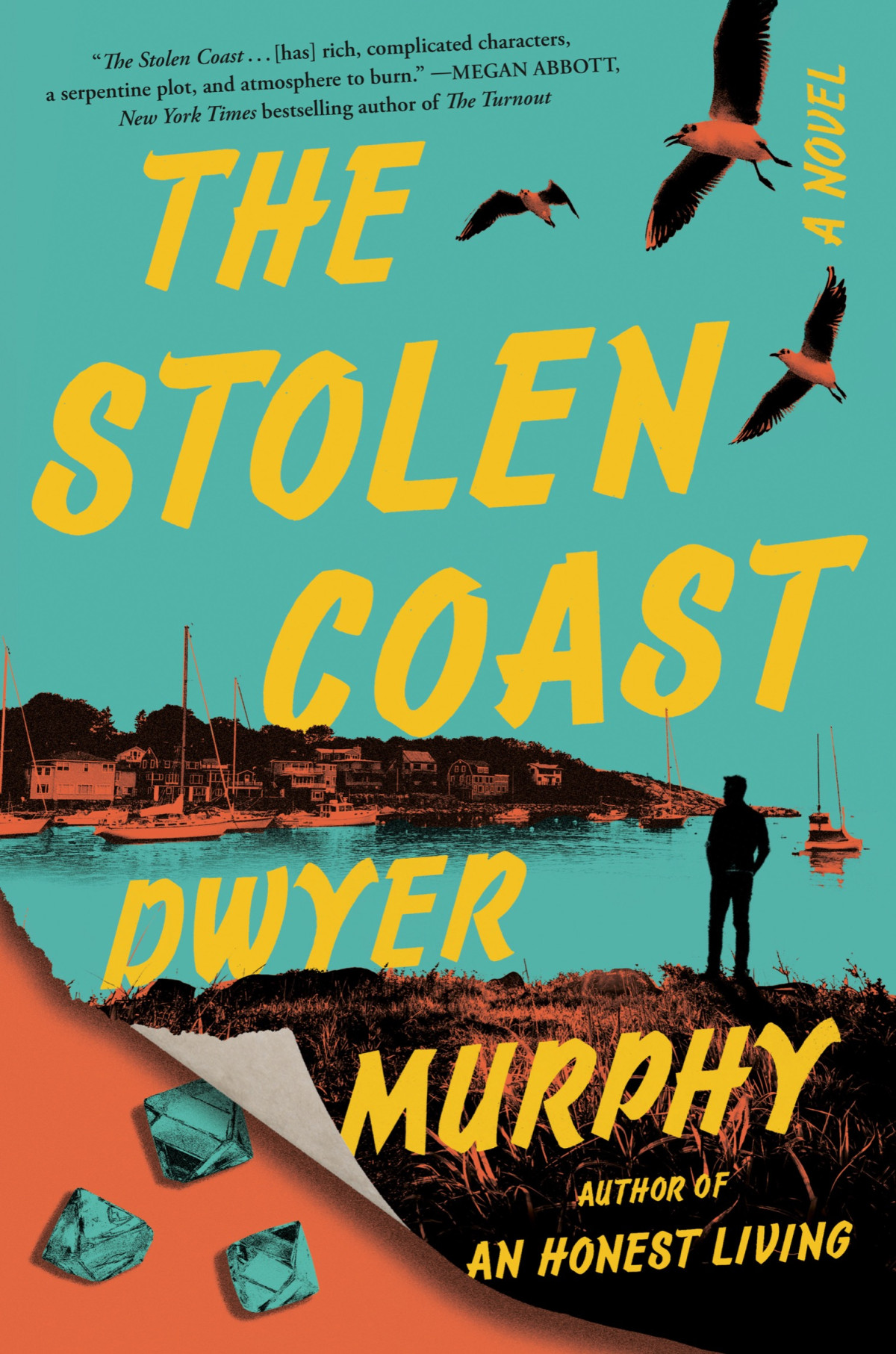 The Stolen Coast A Novel Dwyer Murphy