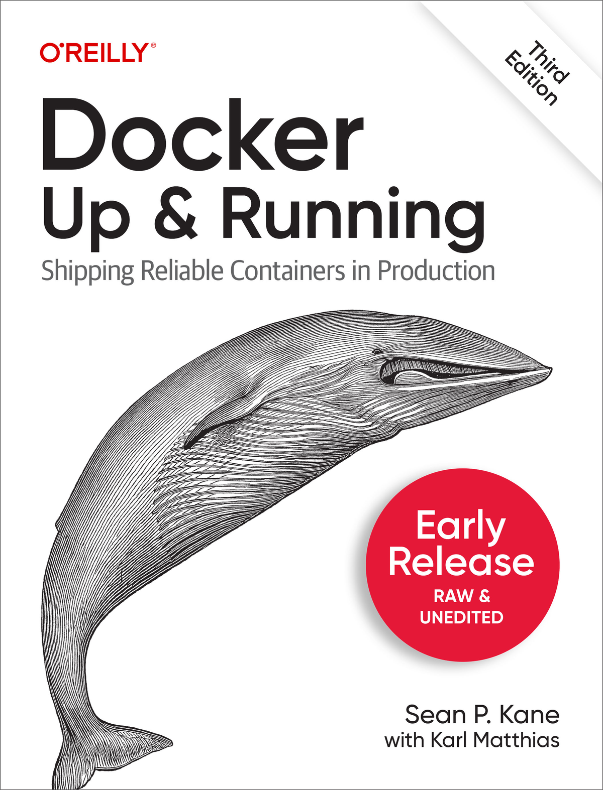 Docker Up And Running For True Epub Sean P Kane And Karl Matthias