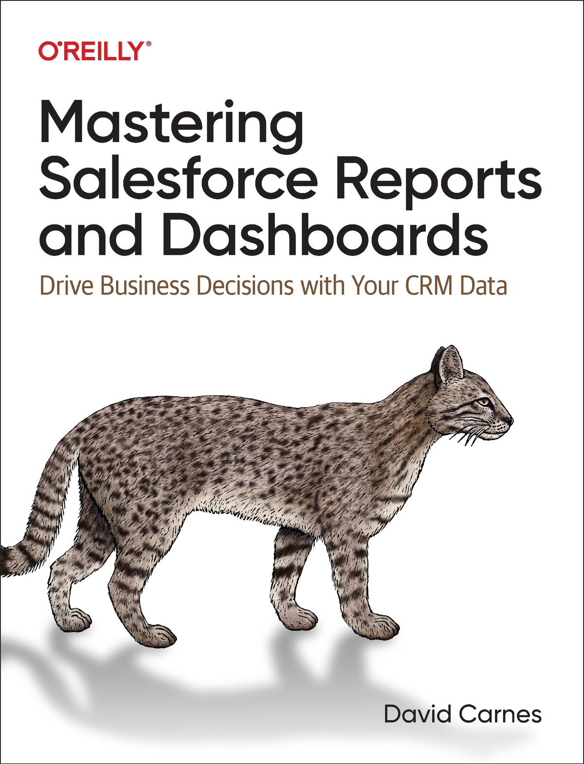 Mastering Salesforce Reports And Dashboards For True Epub David Carnes