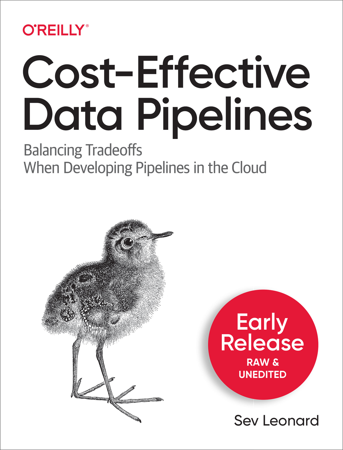 Costeffective Data Pipelines Sev Leonard