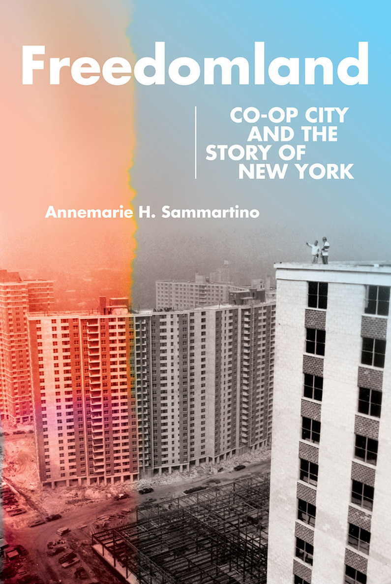Freedomland Annemarie H Sammartino