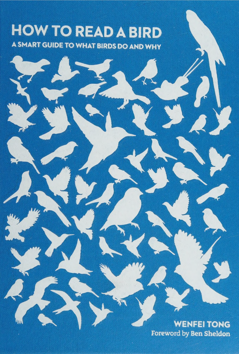 How To Read A Bird A Smart Guide To What Birds Do And Why Wenfei Tong