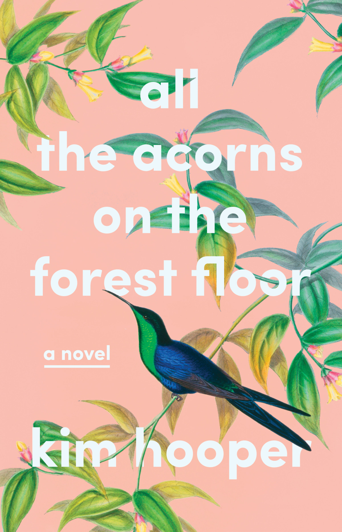 All The Acorns On The Forest Floor Kim Hooper
