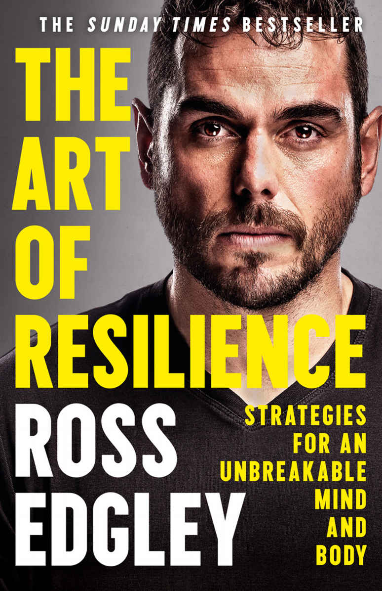 The Art Of Resilience Edgley Ross
