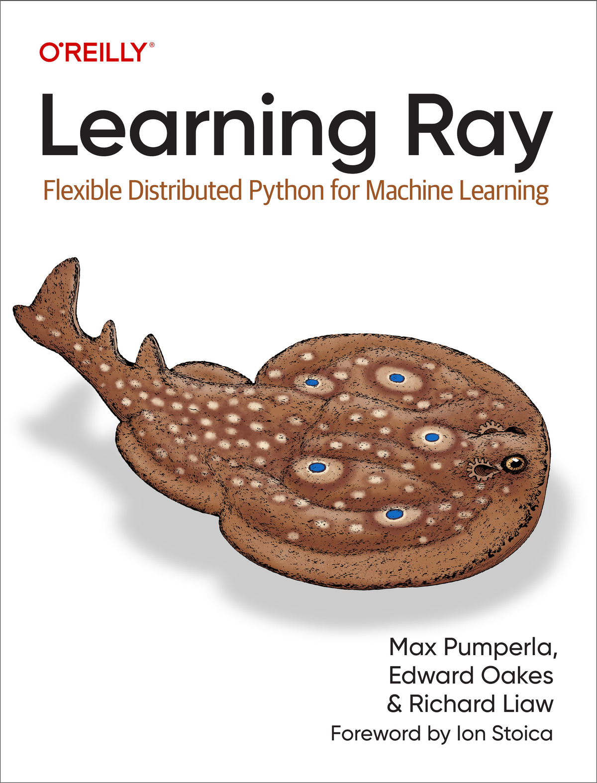 Learning Ray Max Pumperla