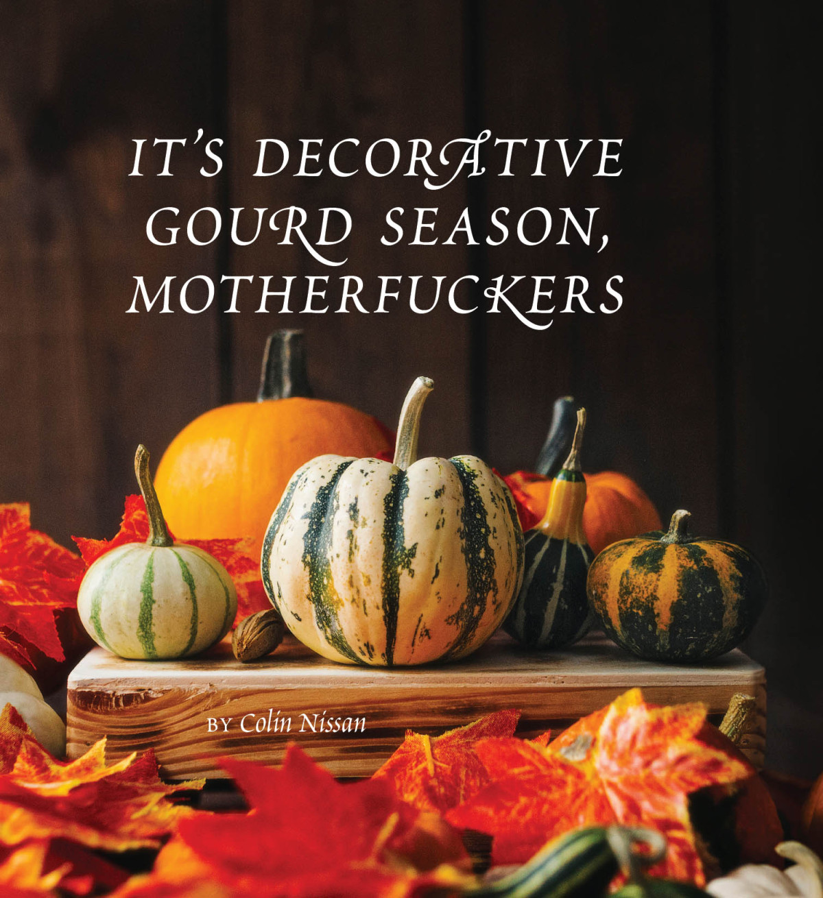 Its Decorative Gourd Season Motherfuckers Colin Nissan