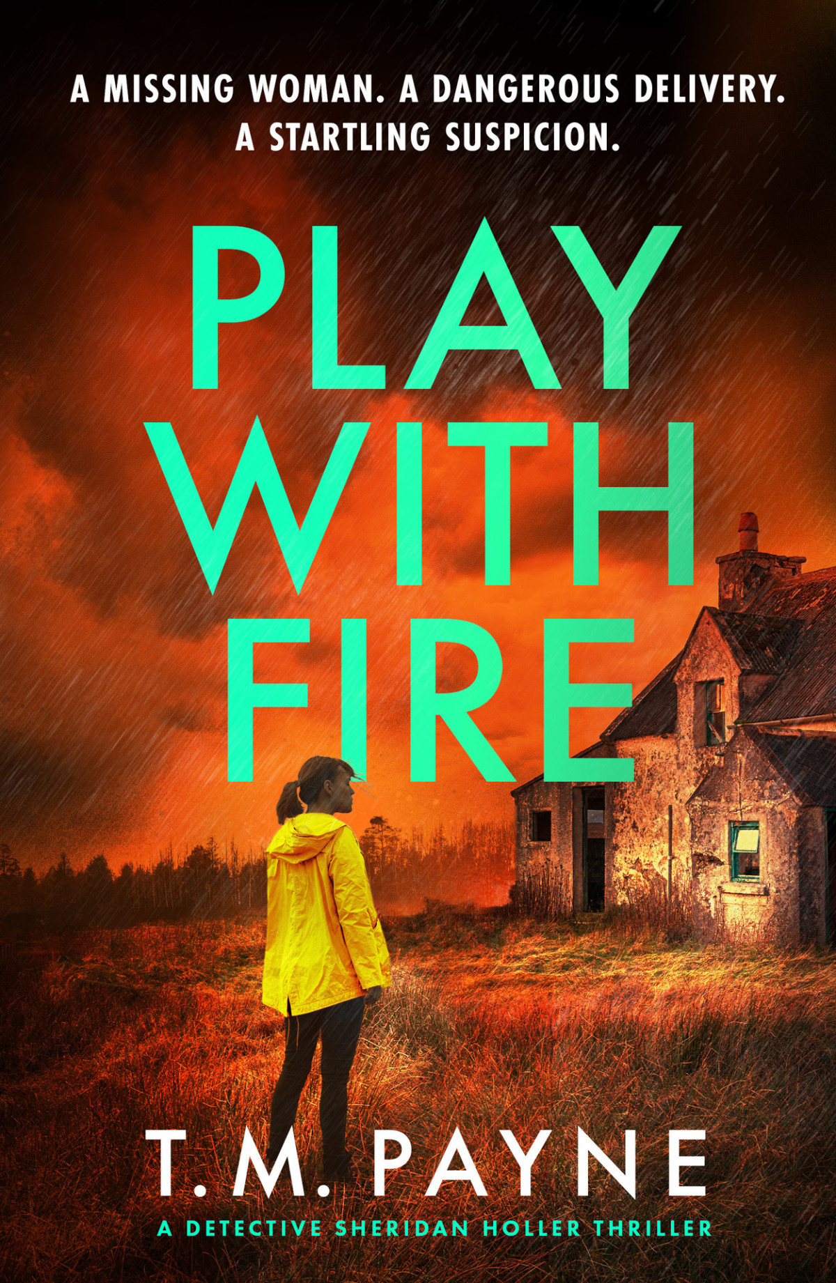 Play With Fire Detective Sheridan Holler T M Payne