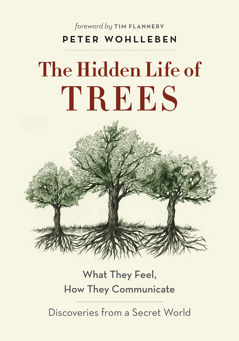 The Hidden Life Of Trees Peter Wohlleben