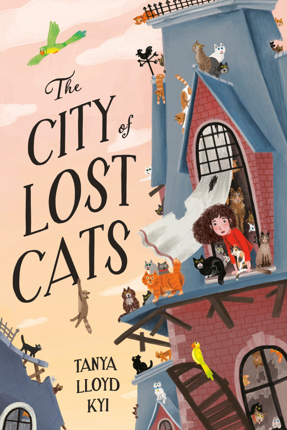 The City Of Lost Cats Tanya Lloyd Kyi