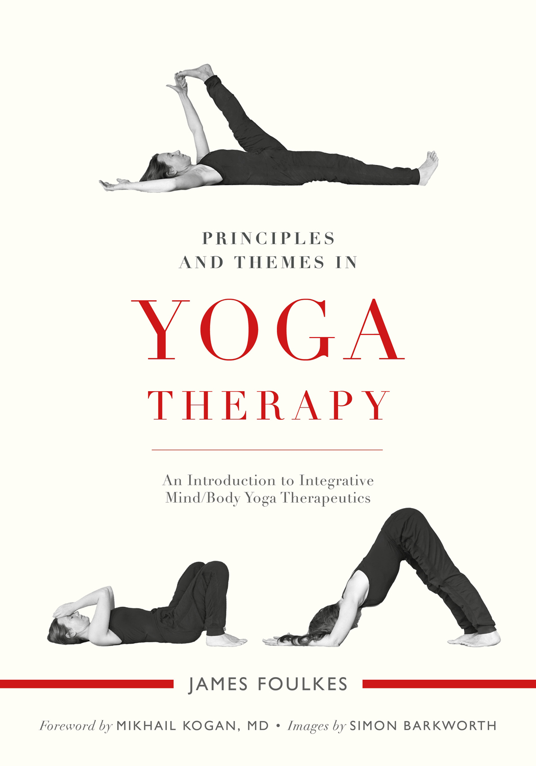 Principles And Themes In Yoga Therapy James Foulkes