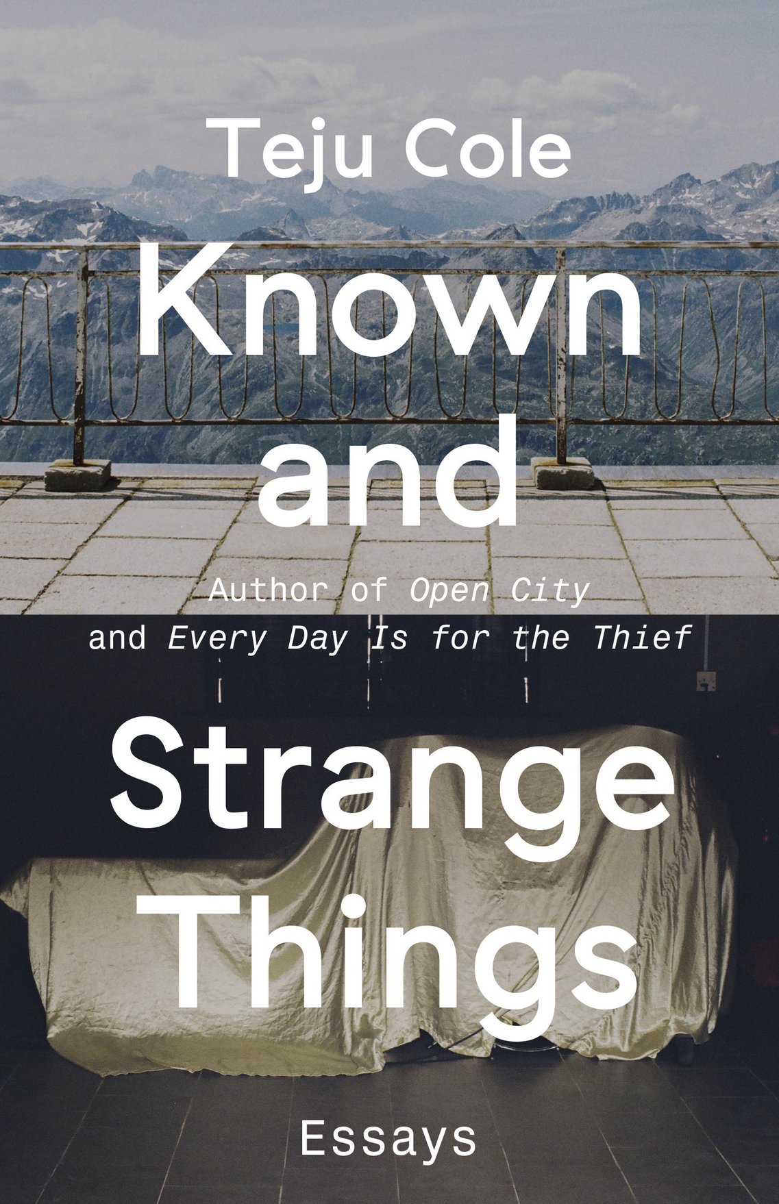 Known And Strange Things Teju Cole