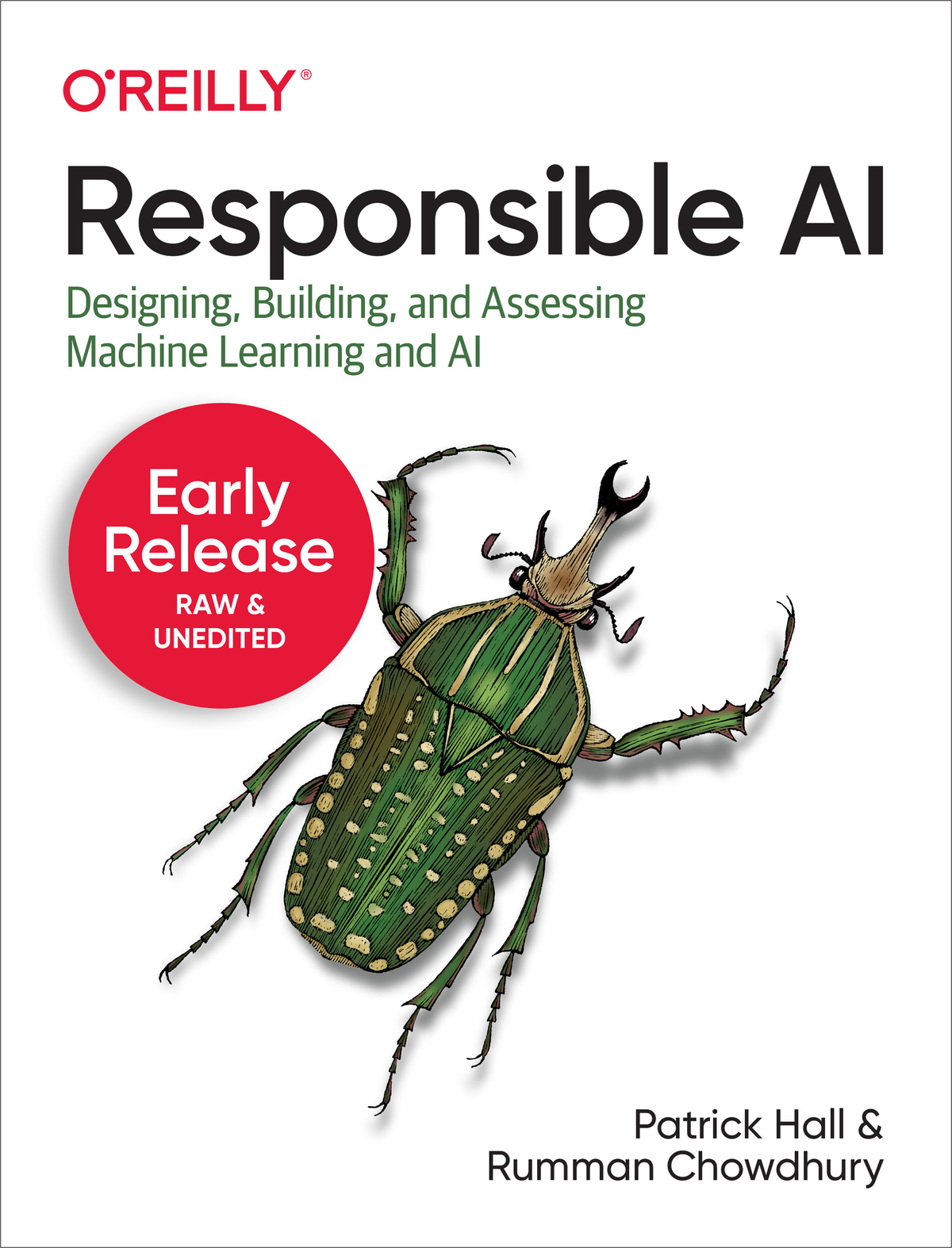 Responsible Ai Patrick Hall Rumman Chowdhury