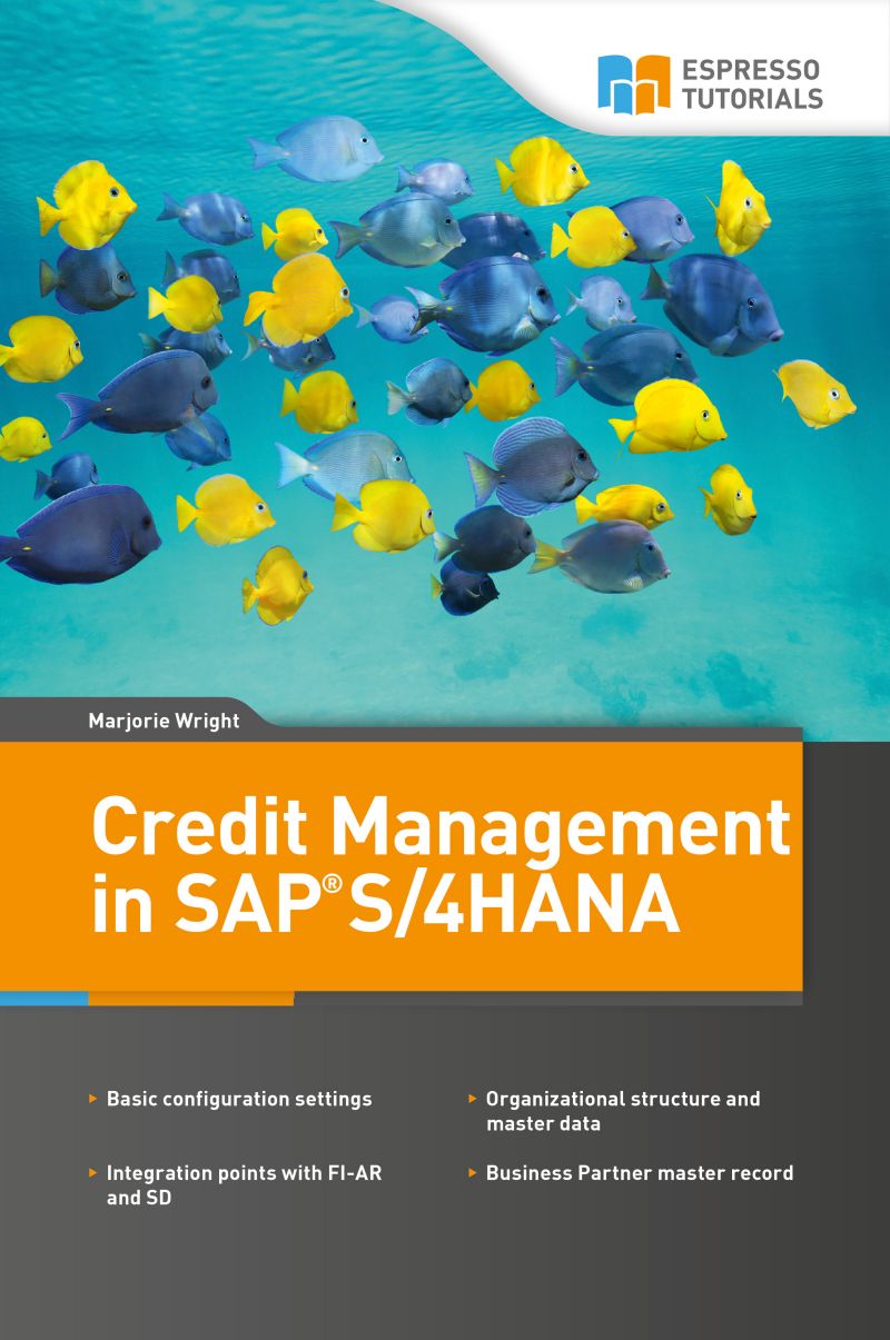 Credit Management In Sap S4hana Marjorie Wright