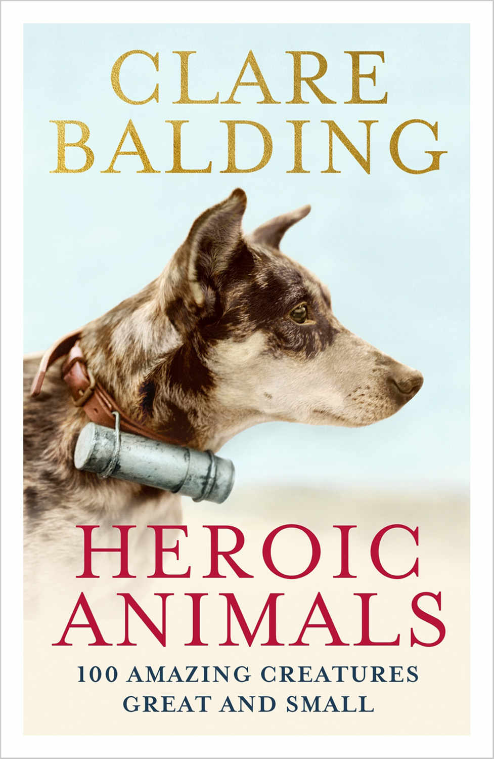 Heroic Animals 100 Amazing Creatures Great And Small Balding