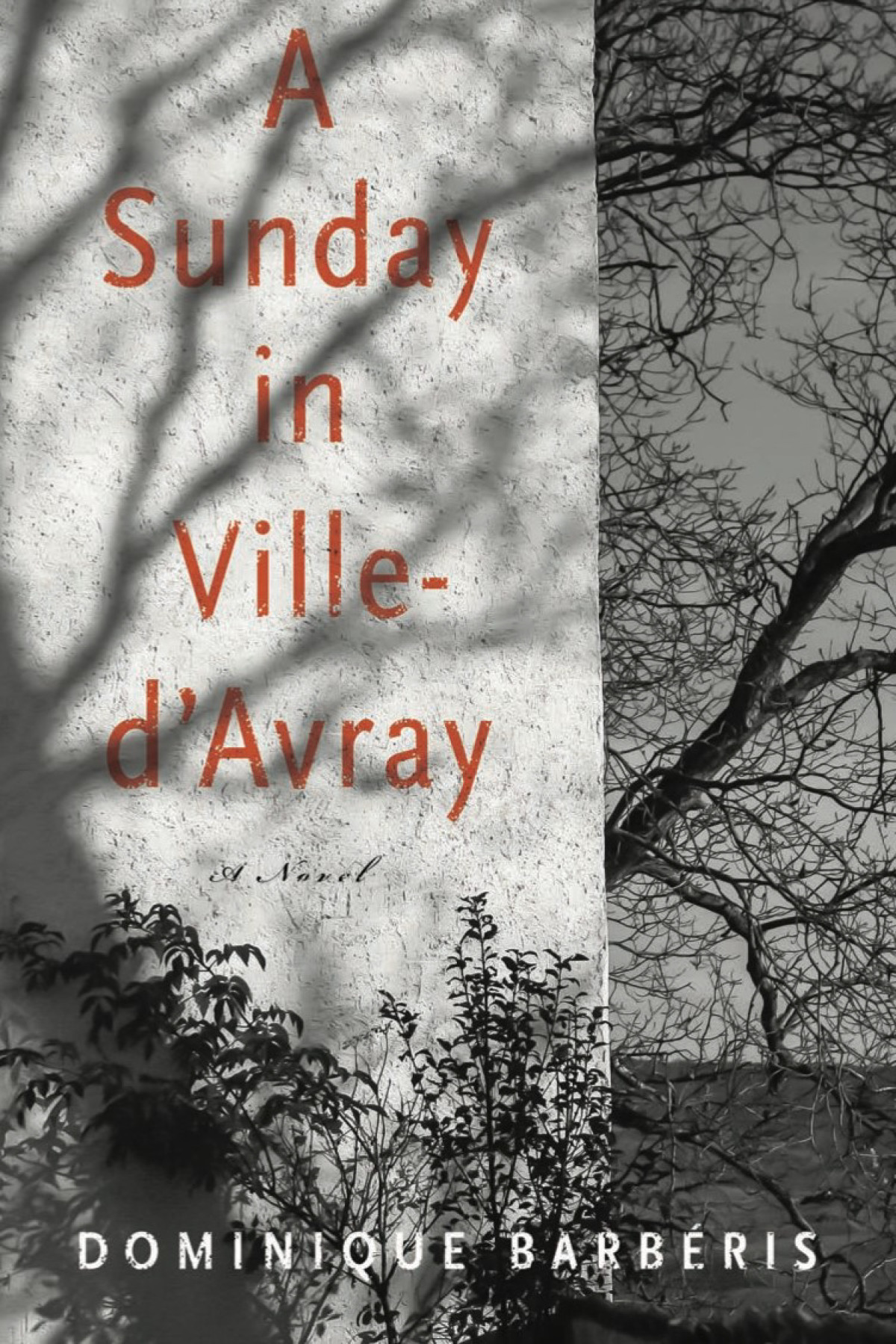 A Sunday In Villedavray A Novel Dominique Barbris