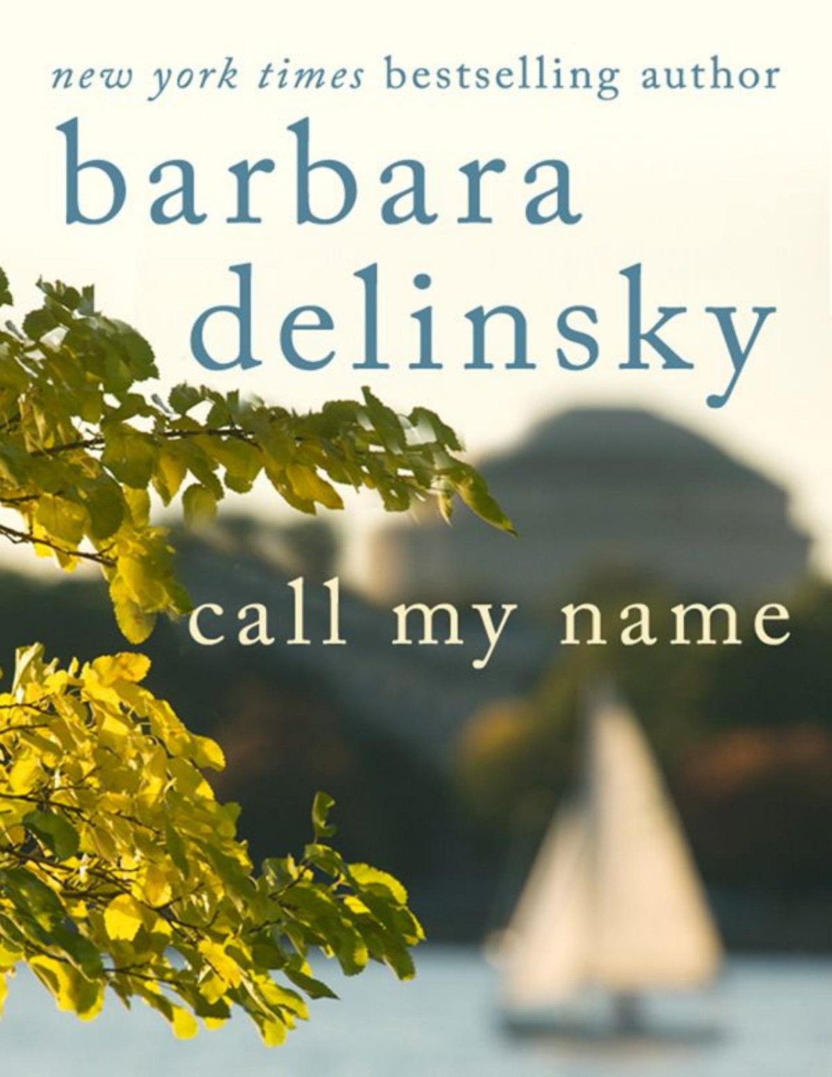Call My Name Delinsky Barbara