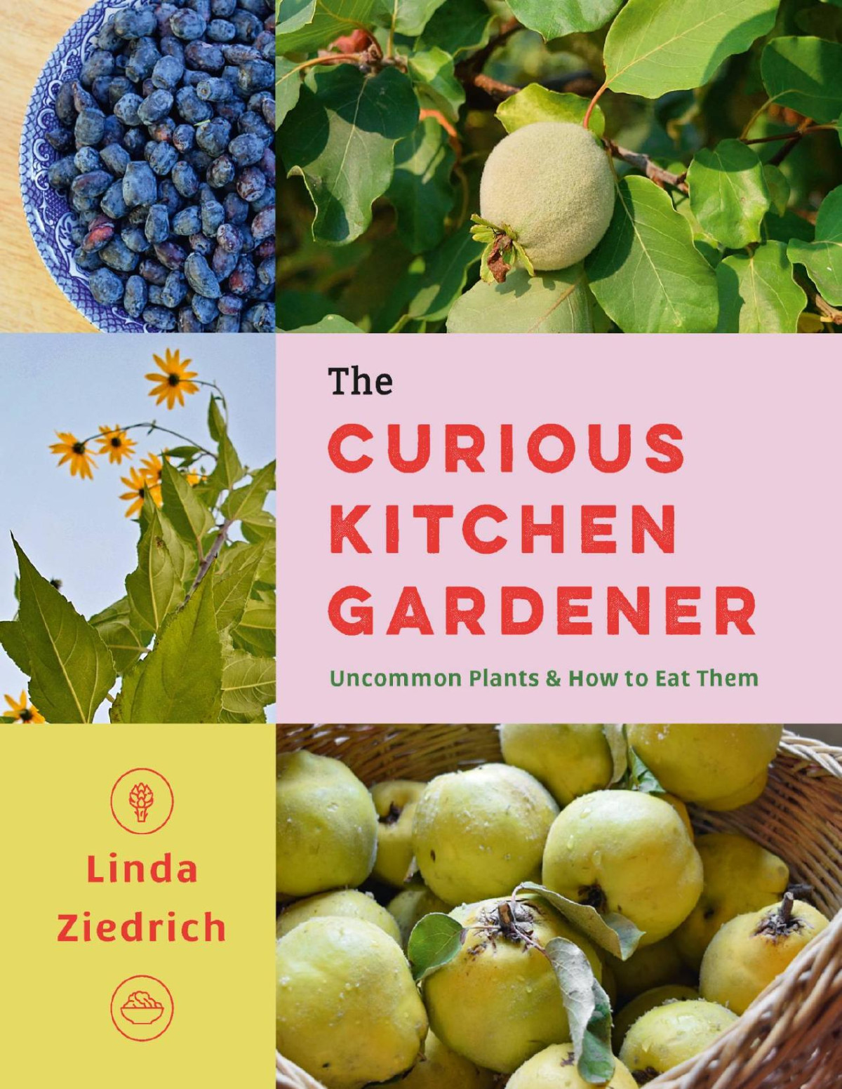 The Curious Kitchen Gardener Linda Ziedrich