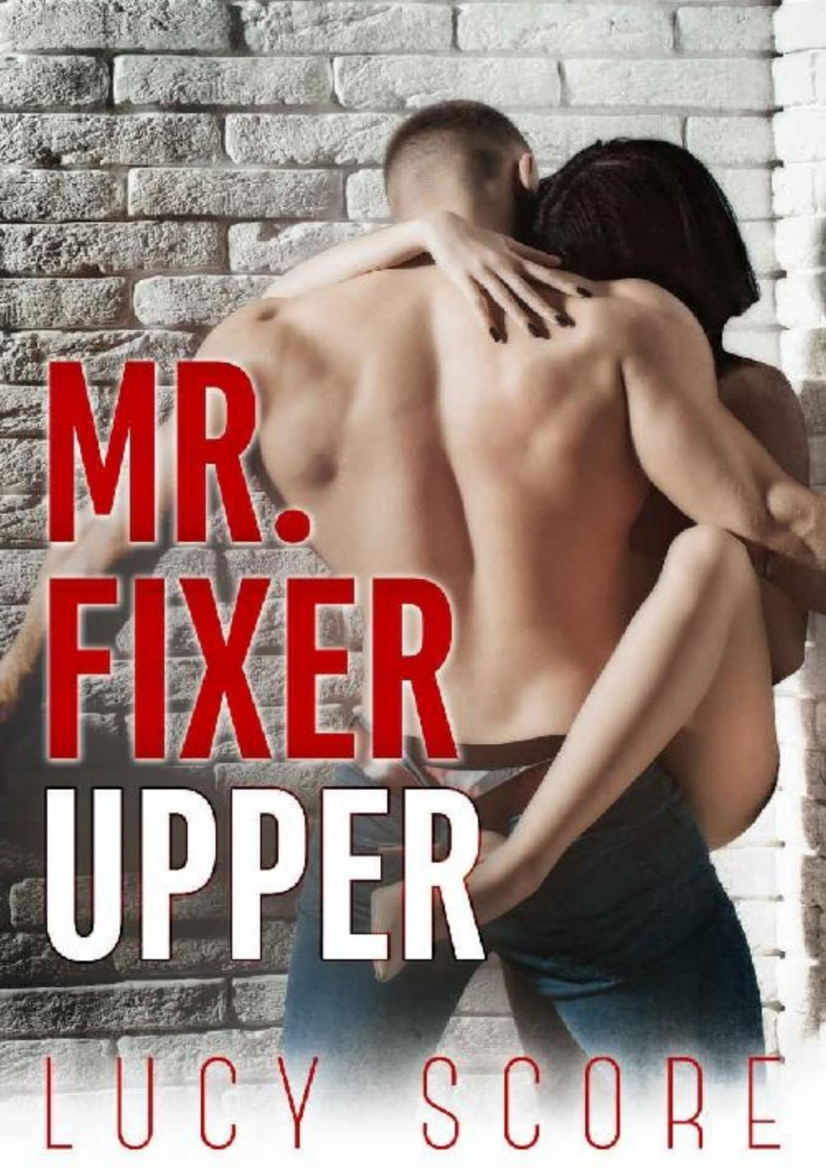 Mr Fixer Upper Lucy Score