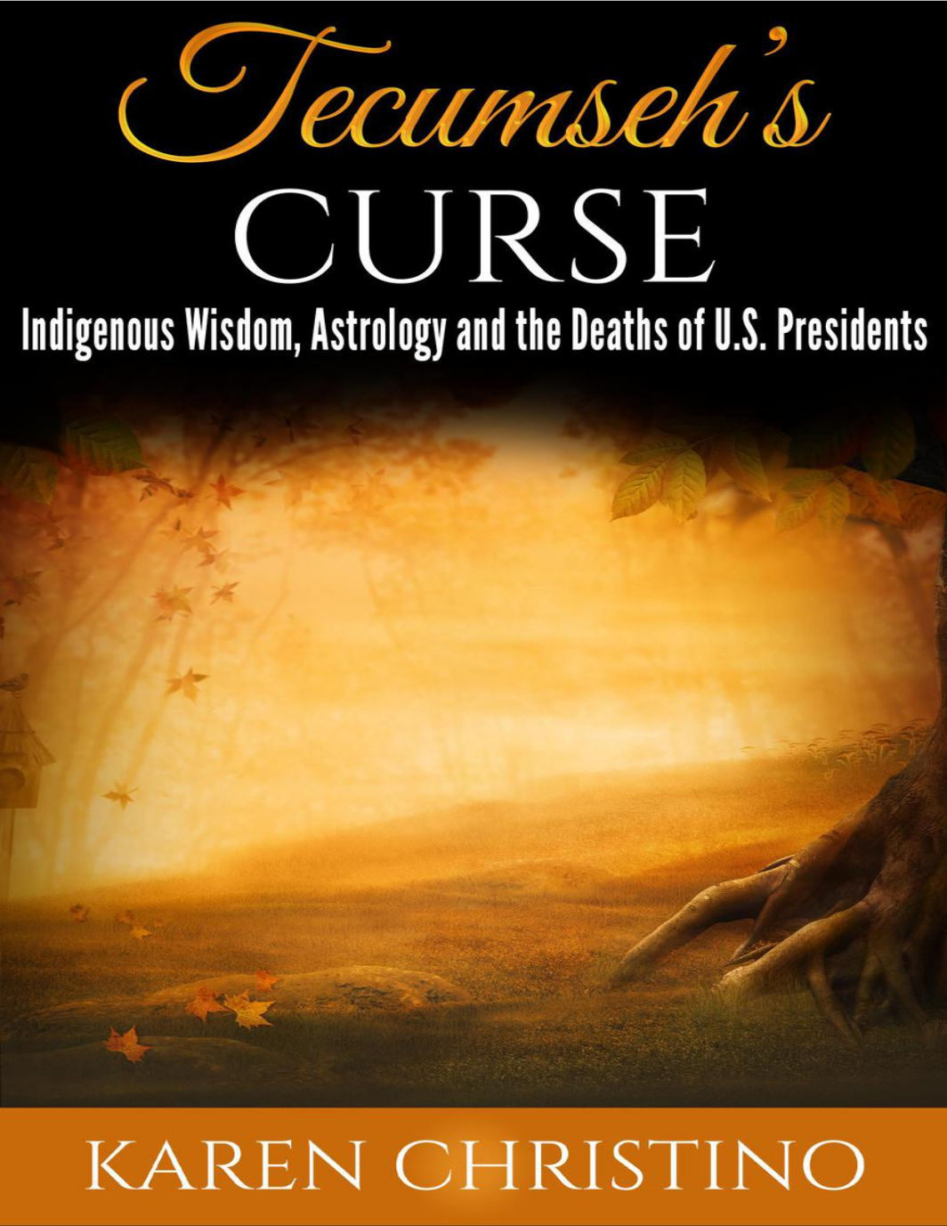 Tecumsehs Curse Indigenous Wisdom Astrology And The Deaths Of Us Presidents Karen Christino
