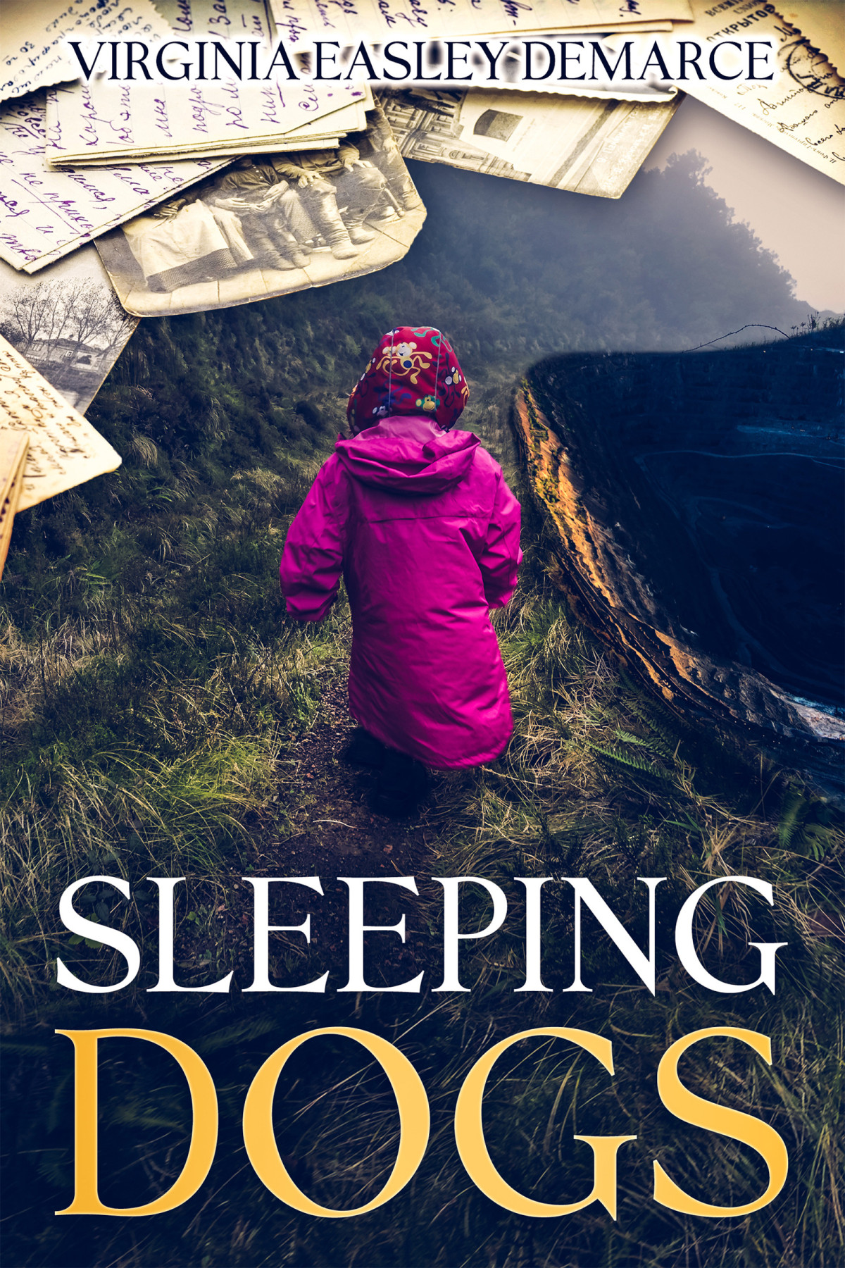 Sleeping Dogs Virginia Demarce