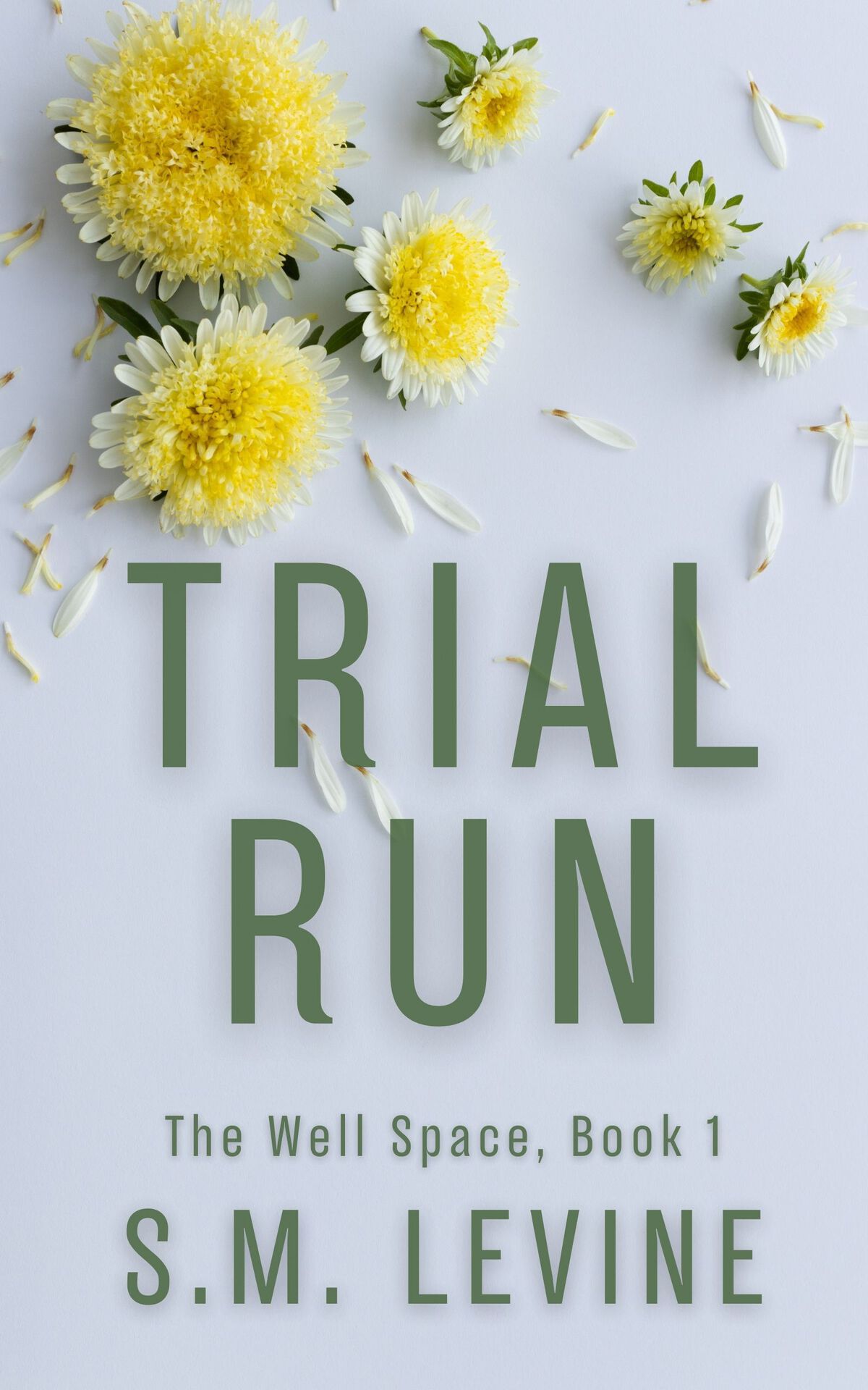 Trial Run The Well Space Book 1 Sm Levine