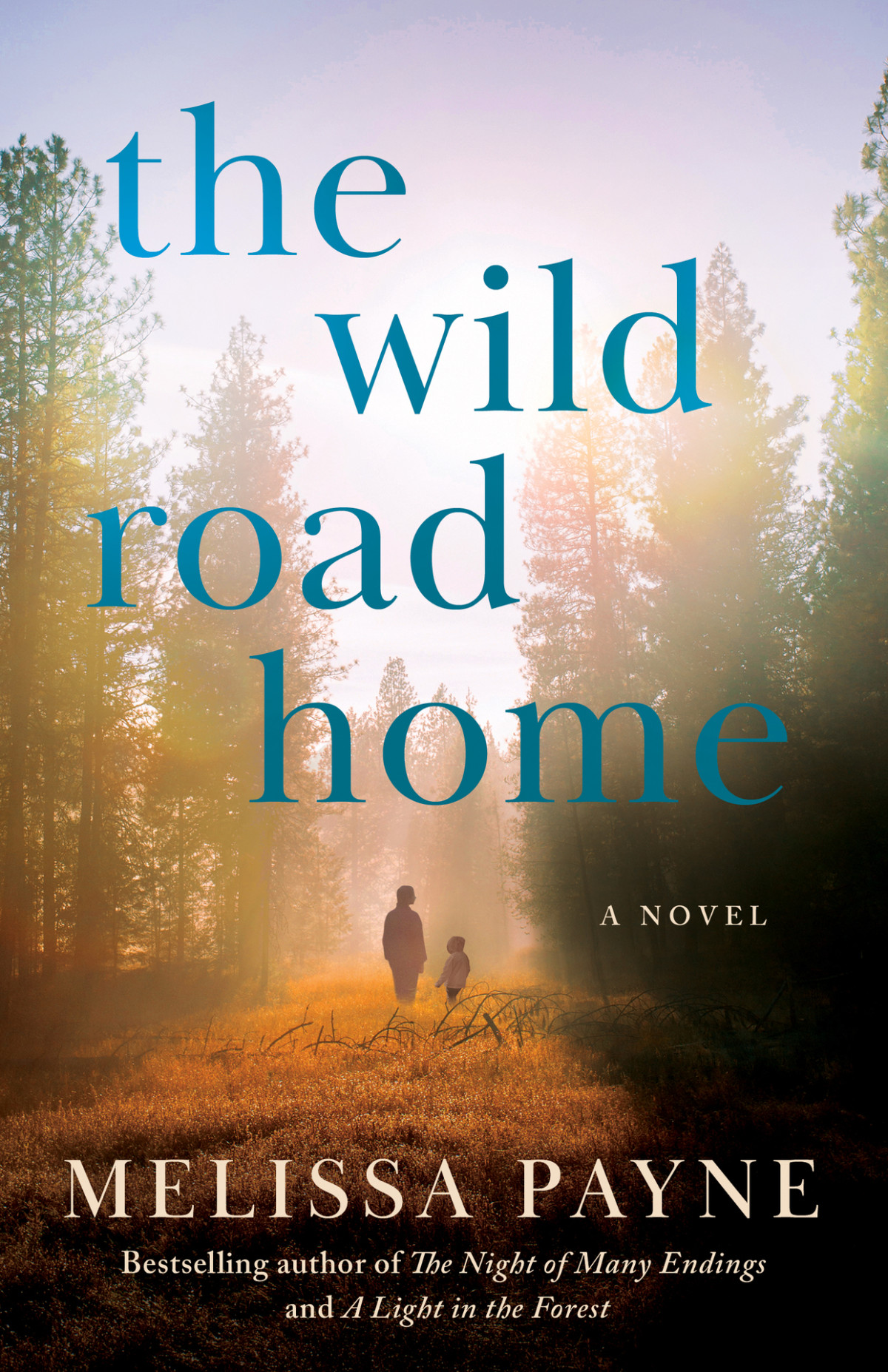 The Wild Road Home A Novel Melissa Payne