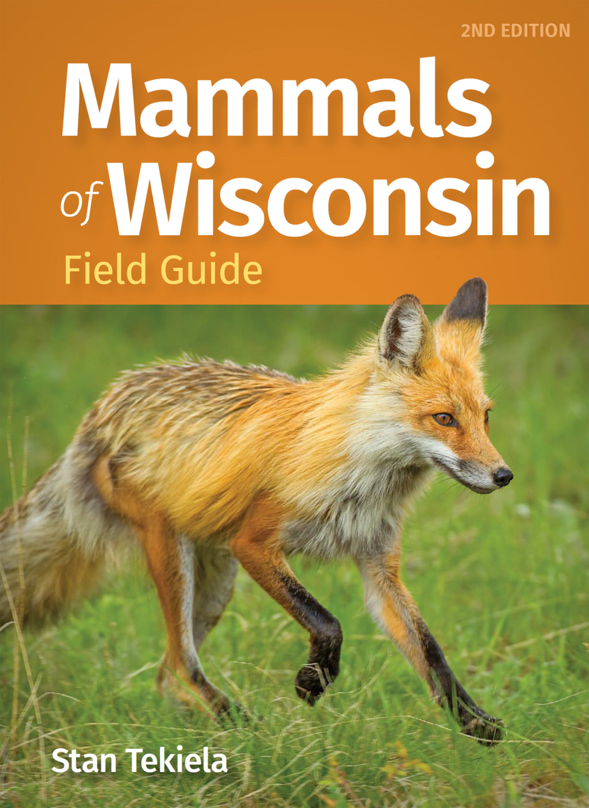 Mammals Of Wisconsin Field Guide Stan Tekiela