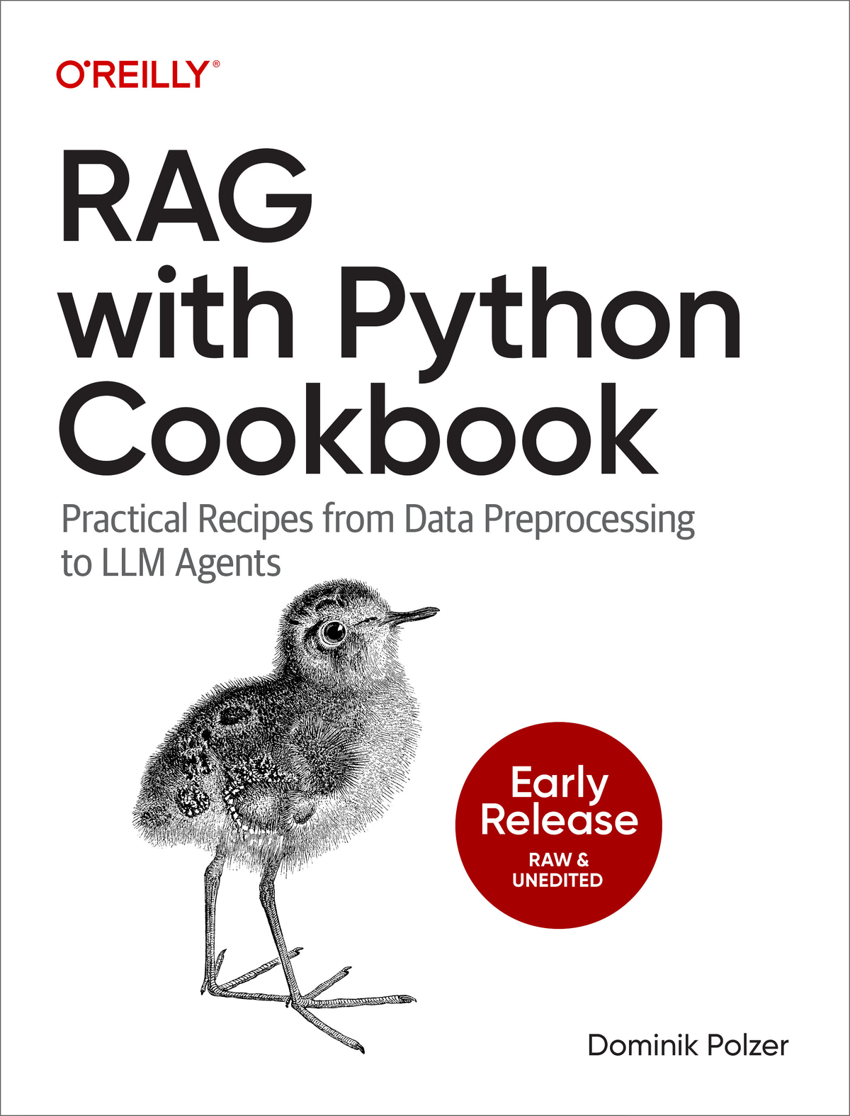 Rag With Python Cookbook Dominik Polzer