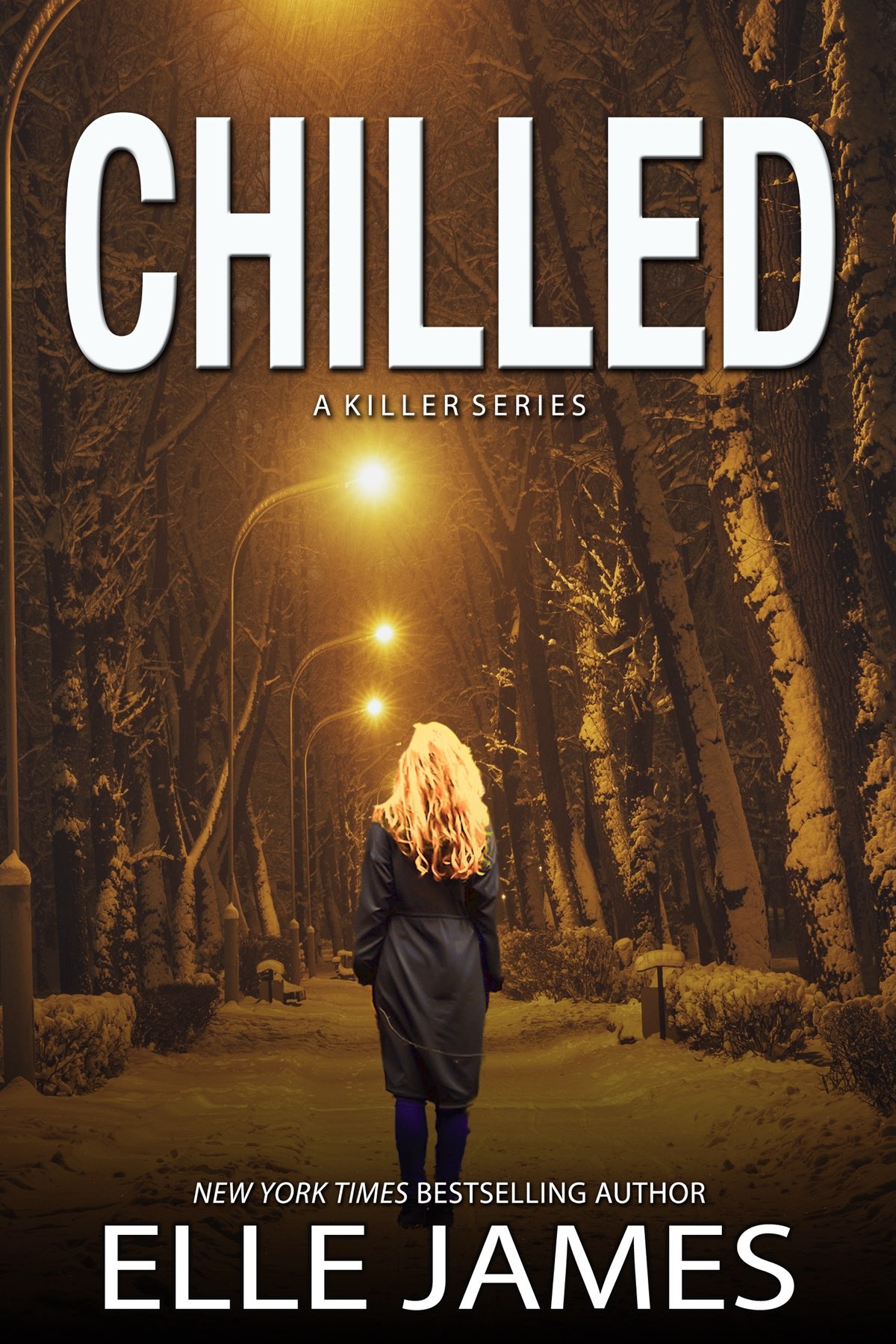 Chilled A Smalltown Serial Killer Romantic Suspense Elle James