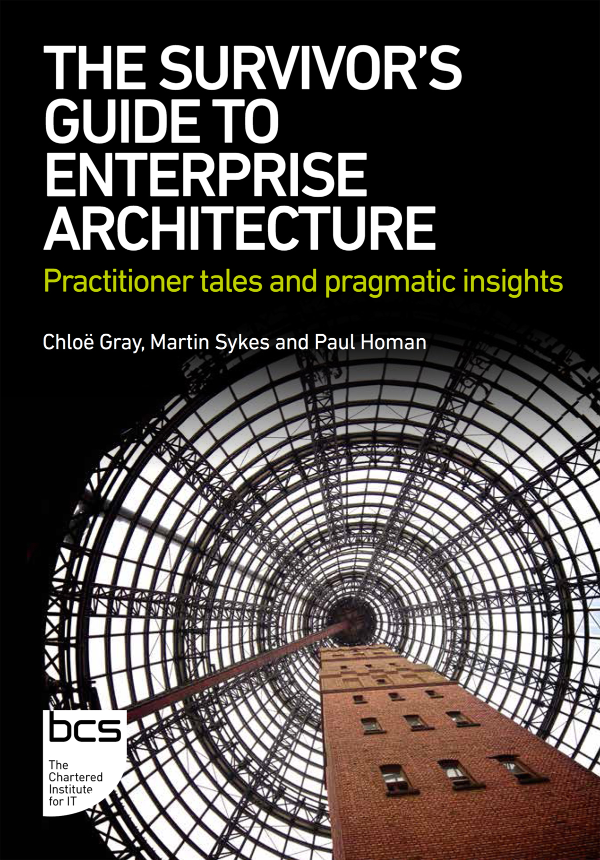 The Survivors Guide To Enterprise Architecture Chlo Gray Martin Sykes Paul Homan