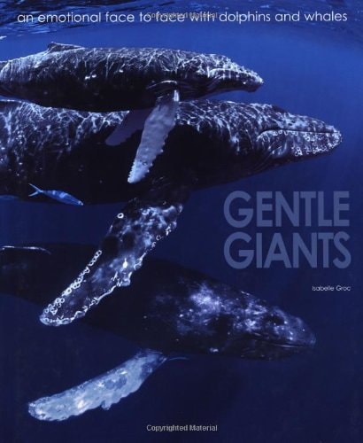 Gentle Giants An Emotional Face To Face With Dolphins And Whales Table Top Gift Isabelle Groc