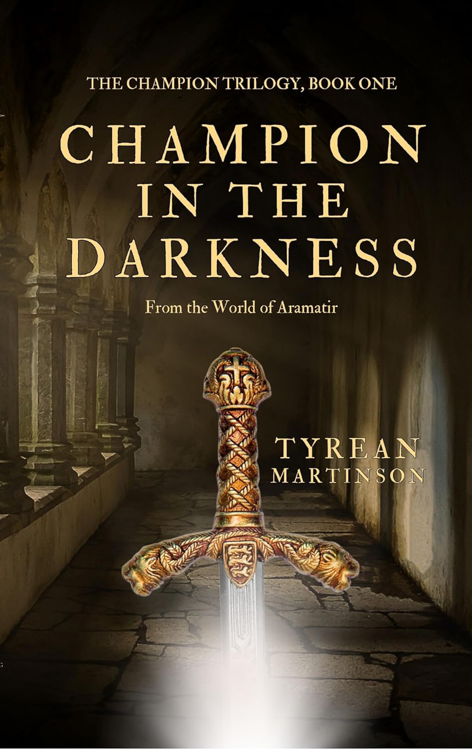 Champion In The Darkness Tyrean Martinson