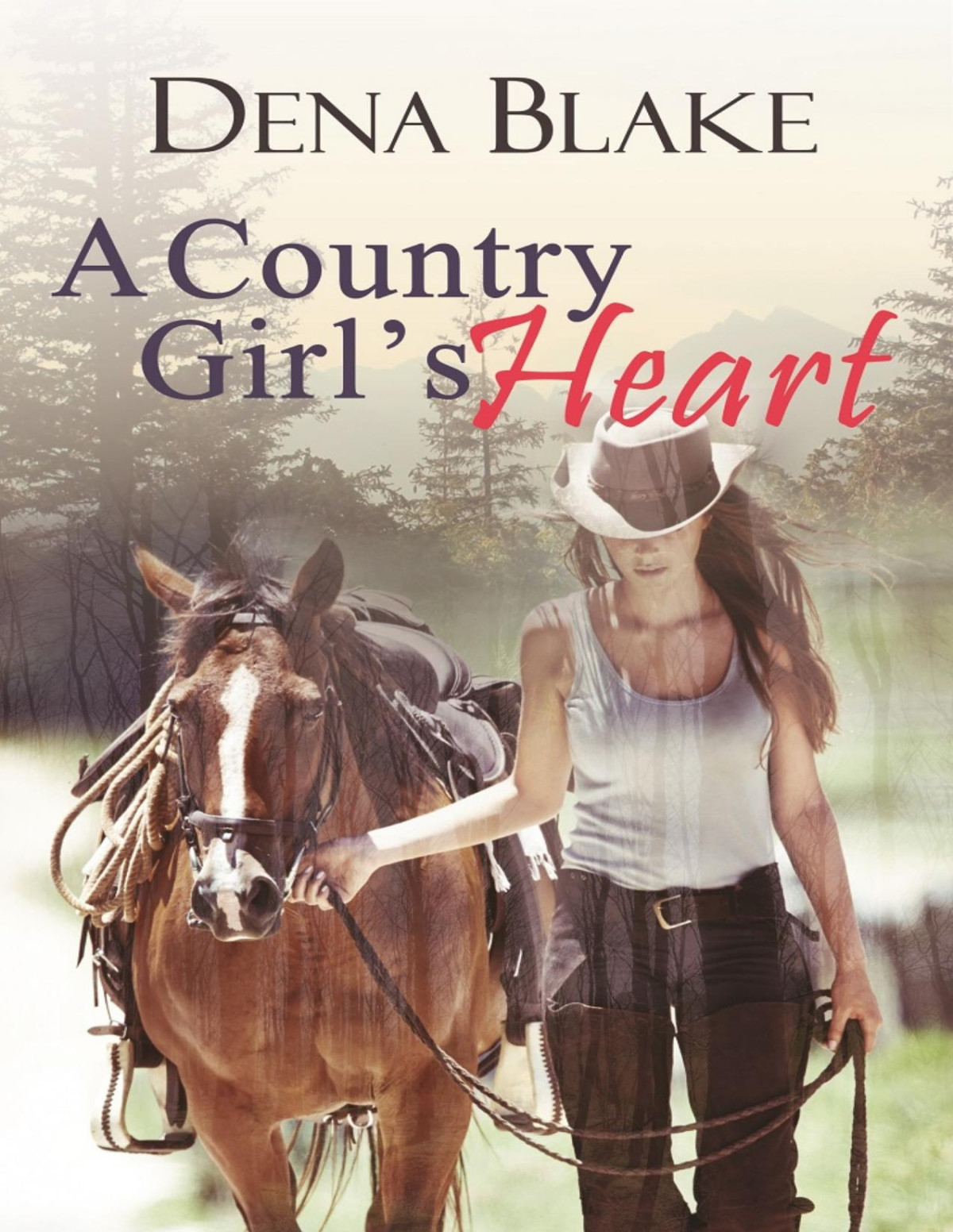 A Country Girls Heart Dena Blake