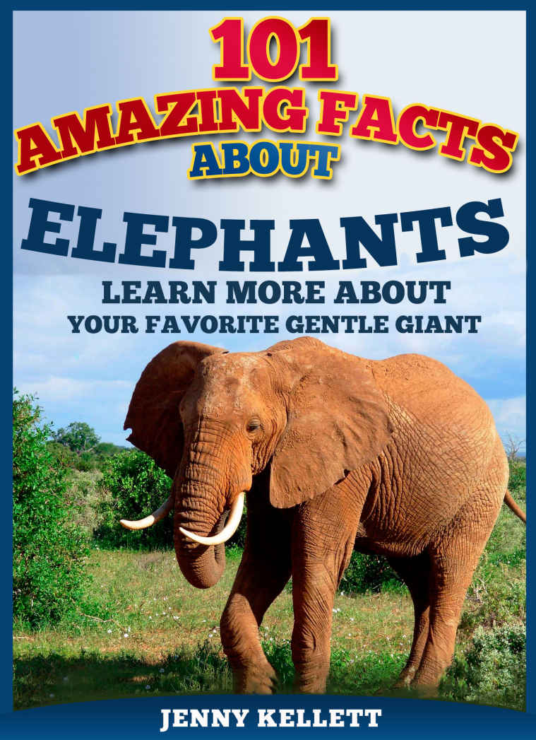 101 Amazing Facts About Elephants Kellett Jenny