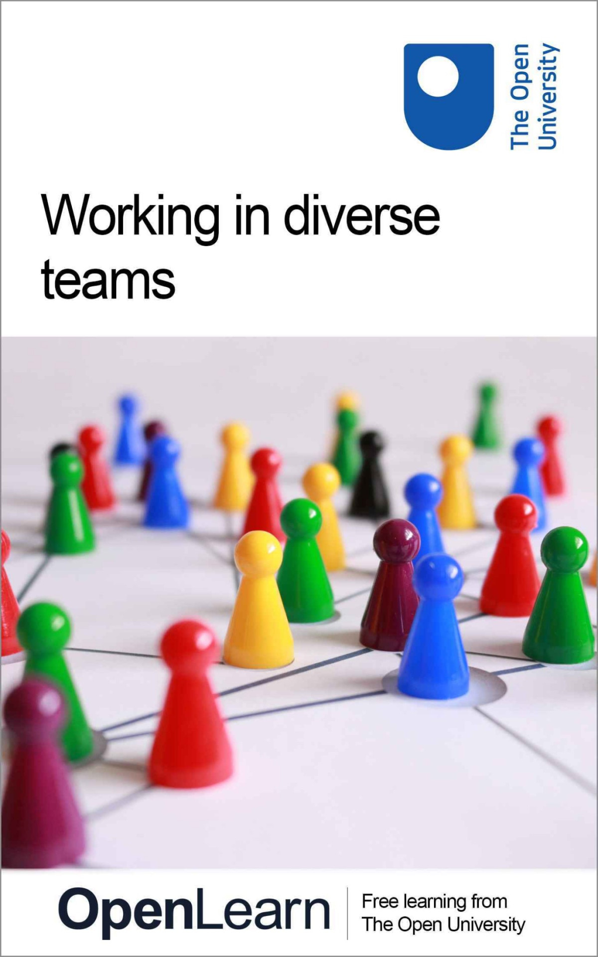 Working In Diverse Teams The Open University