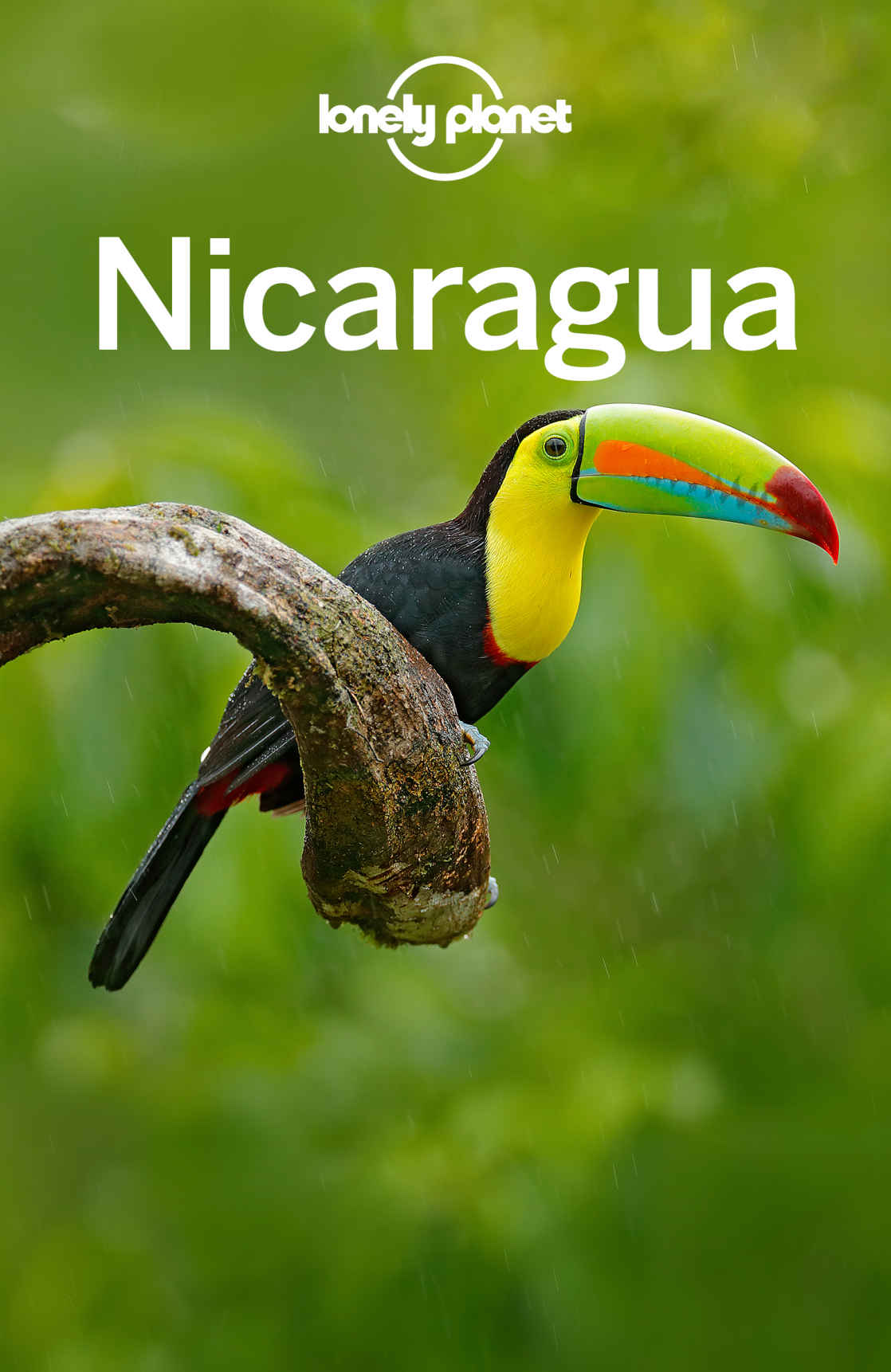 Lonely Planet Nicaragua Travel Guide Lonely Planet Anna Kaminski Bridget Gleeson Tom Masters