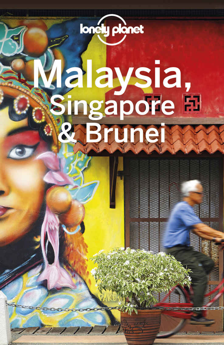 Lonely Planet Malaysia Singapore Brunei Travel Guide Lonely Planet Simon Richmond Brett Atkinson Lindsay Brown Austin Bush Damian Harper Anna Kaminski Anita Isalska Ria De Jong