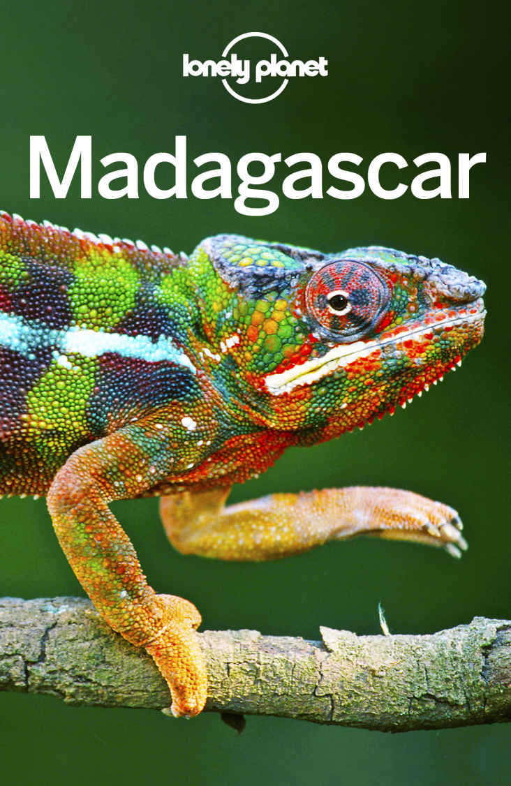 Lonely Planet Madagascar Travel Guide Lonely Planet