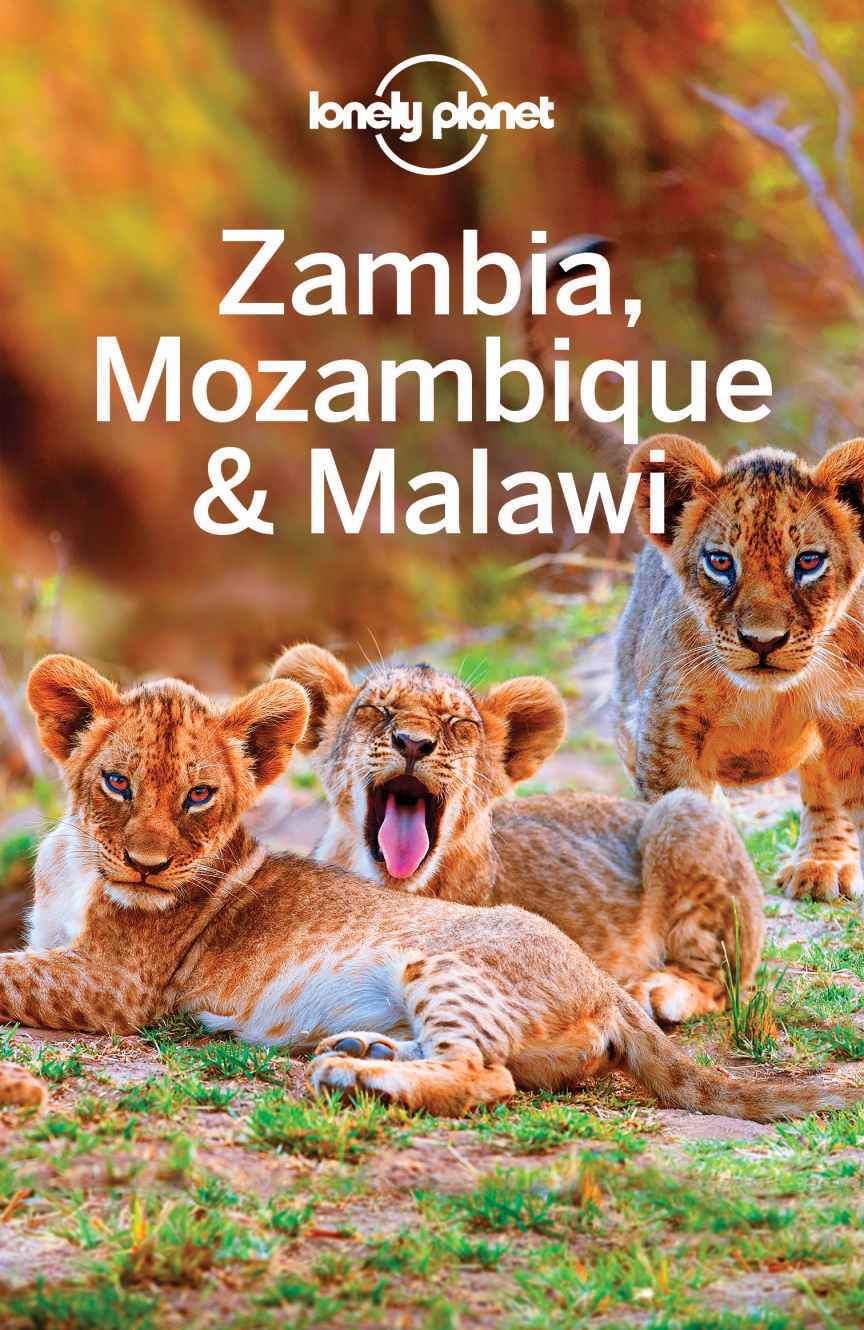 Lonely Planet Zambia Mozambique Malawi Travel Guide Lonely Planet Mary Fitzpatrick James Bainbridge Trent Holden Brendan Sainsbury