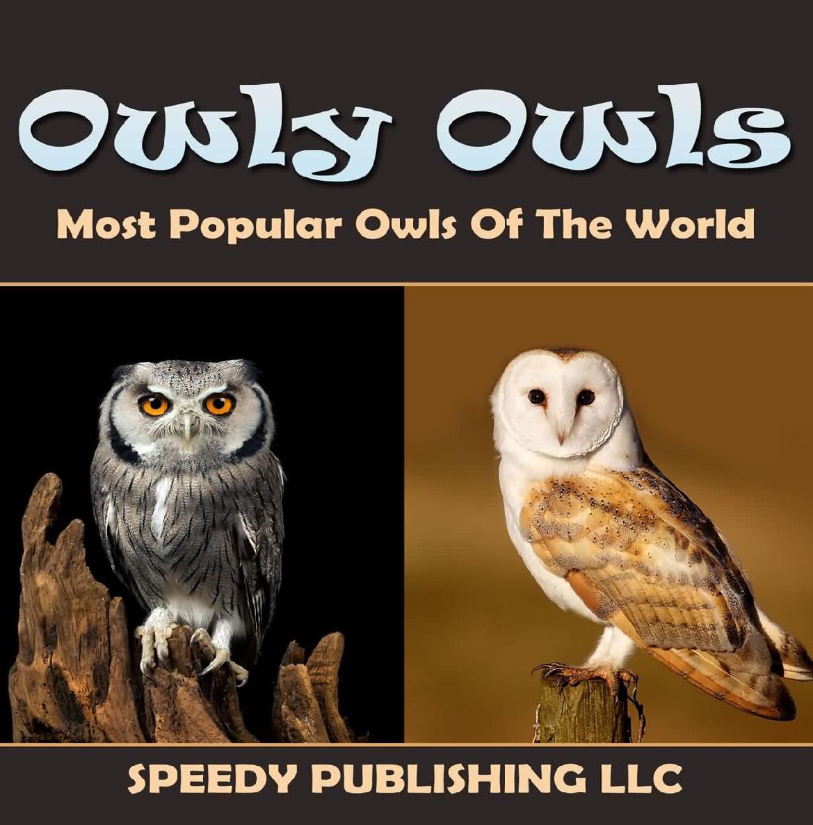 Owly Owls Most Popular Owls Of The World Speedy Publishing