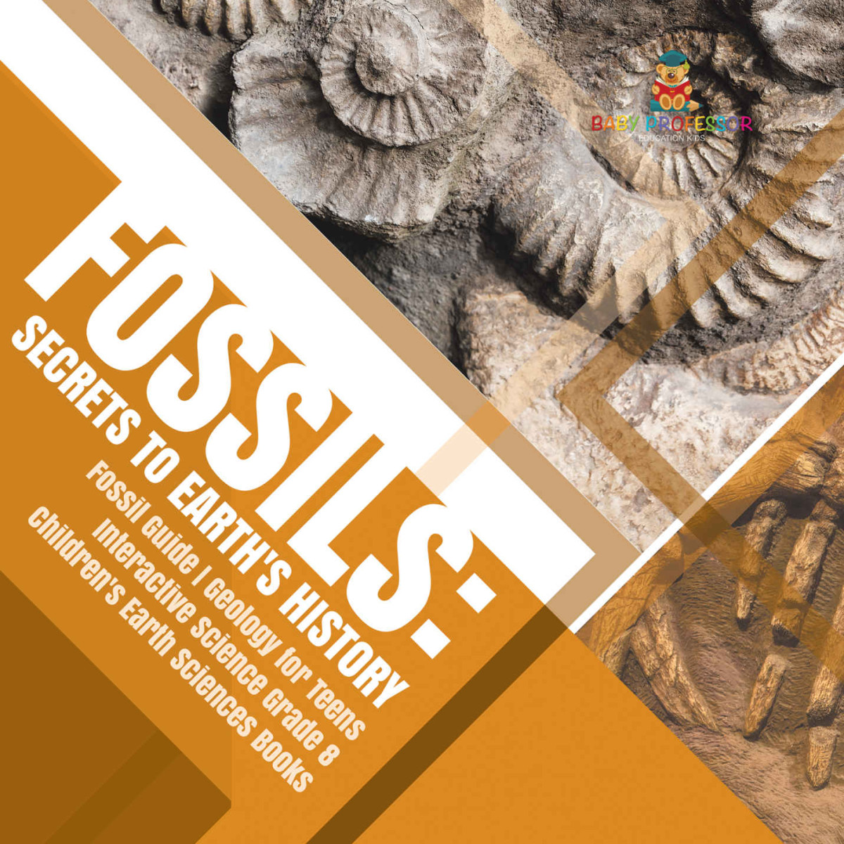Fossils Secrets To Earths History Fossil Guide Geology For Teens Interactive Science Grade 8 Childrens Earth Sciences Books Baby Professor