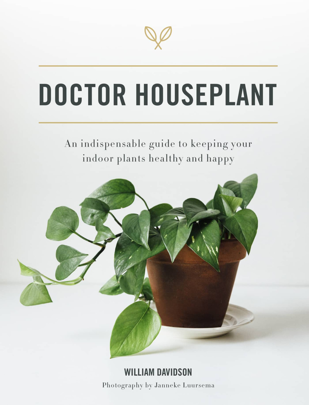 Doctor Houseplant William Davidson