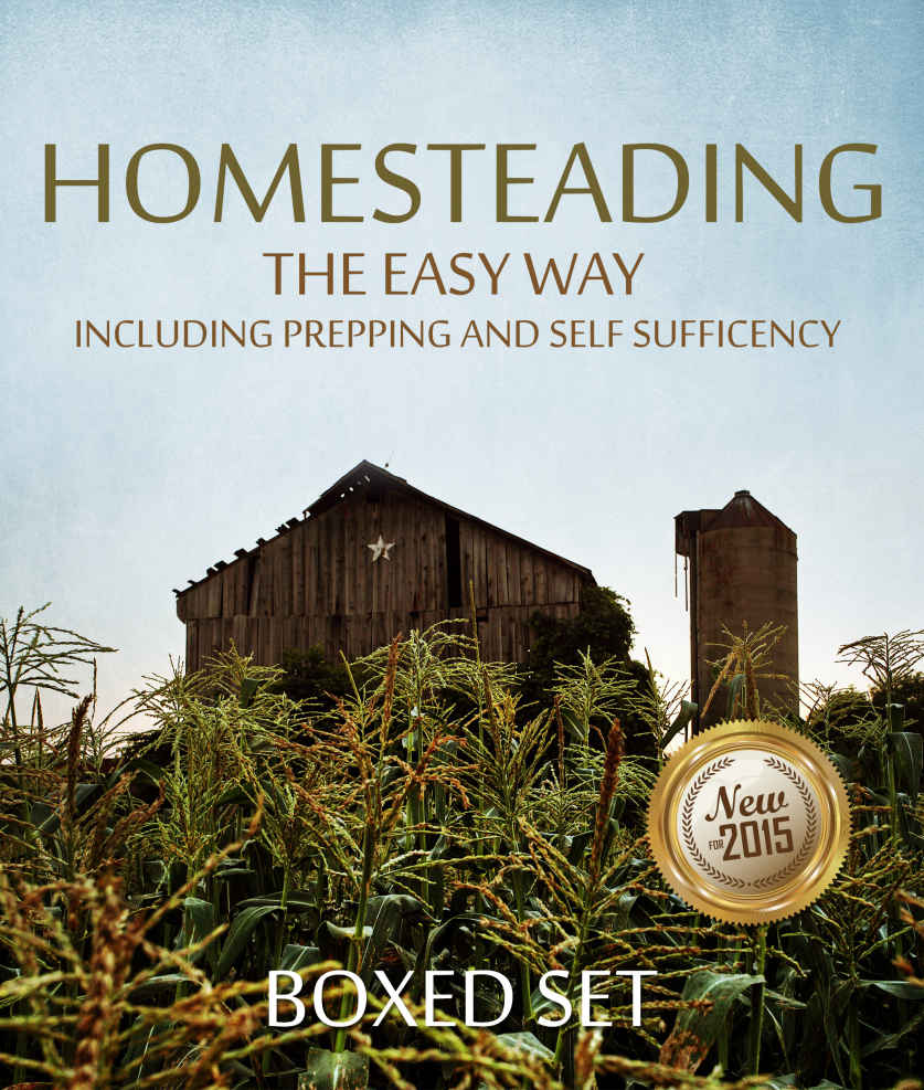 Homesteading The Easy Way Including Prepping And Self Sufficency 3 Books In 1 Boxed Set Speedy Publishing