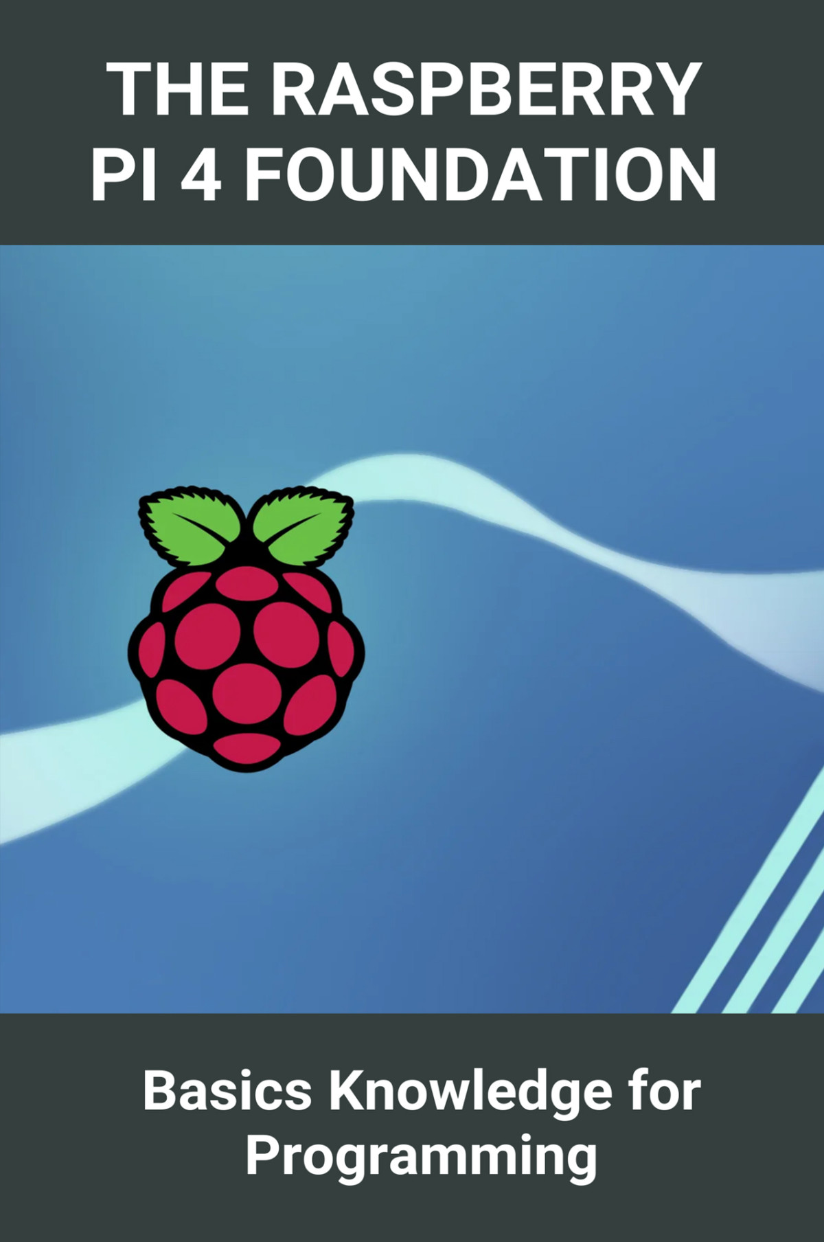 The Raspberry Pi 4 Foundation Basics Knowledge For Programming Raspberry Pi Highquality Camera Module Ruddle