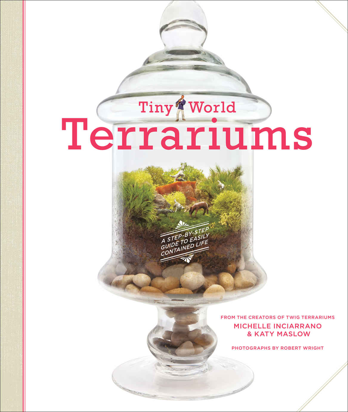 Tiny World Terrariums A Stepbystep Guide To Easily Contained Life Michelle Inciarrano Katy Maslow